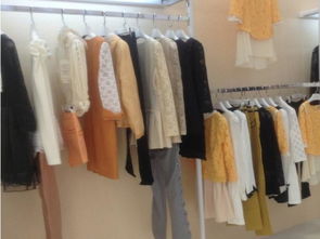 巴莎蒂爾服飾 聚焦食用農產品初加工領域的創新產品