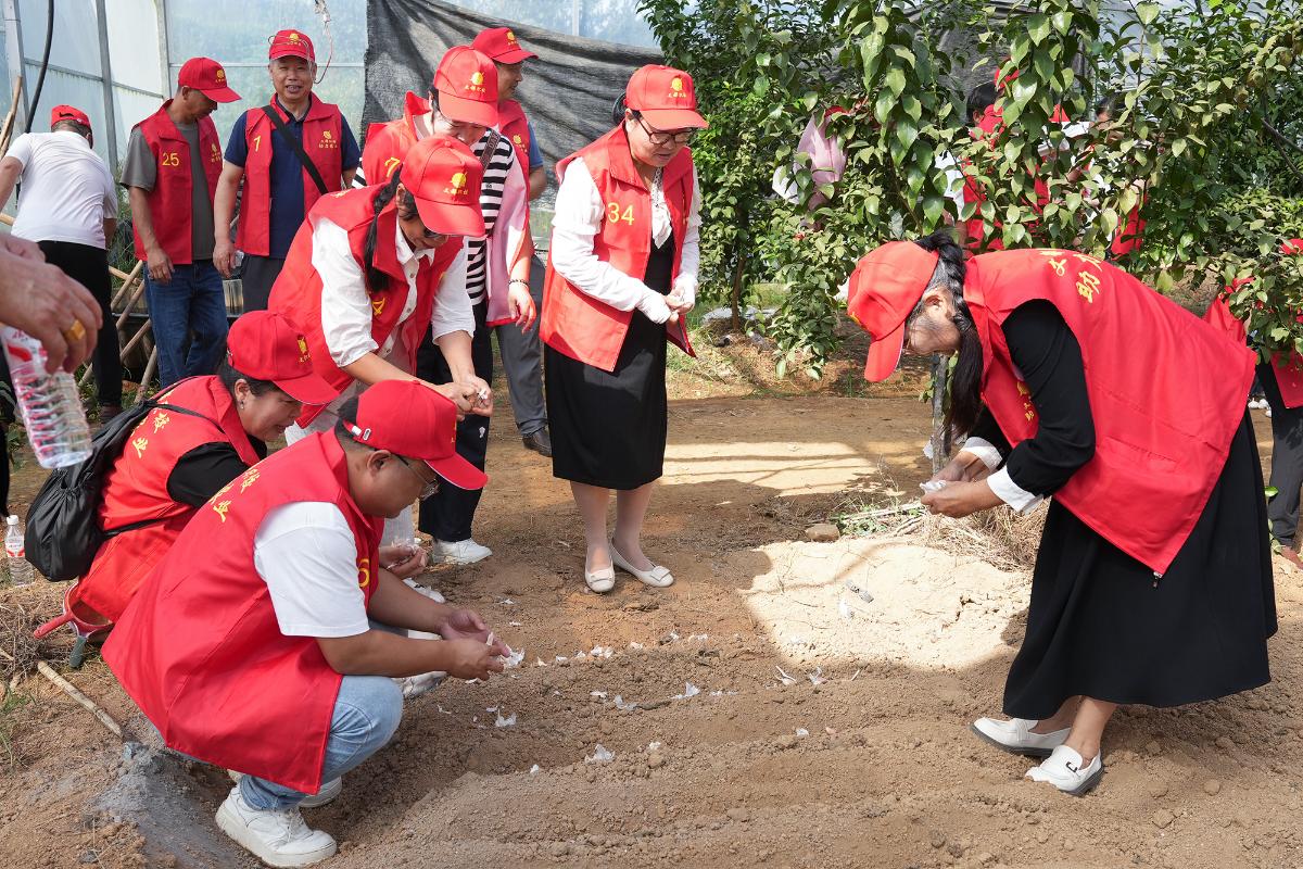 文都職校舉辦高素質(zhì)農(nóng)民培訓(xùn) 蔬菜種植與食用農(nóng)產(chǎn)品初加工