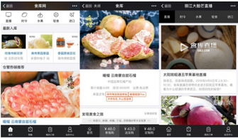 杭州四喜托管可信嗎？事實說話 食庫網(wǎng)農(nóng)產(chǎn)品基地加工與品牌營銷的領航者