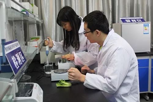 這一年，嚴字當頭 護航舌尖上的安全，食用農產品初加工