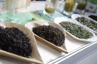 超贊！中山扶貧展銷會圓滿落幕，300余種特色農(nóng)產(chǎn)品備受青睞，食用農(nóng)產(chǎn)品初加工成焦點